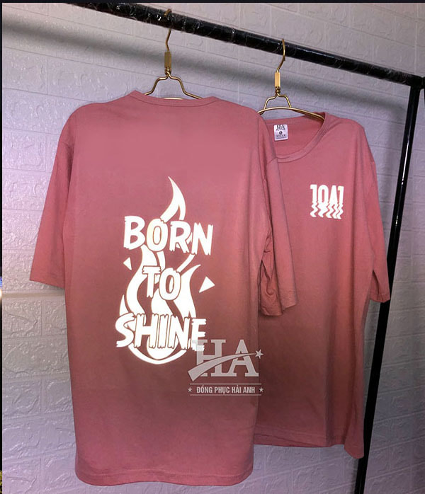 Mẫu áo lớp màu lòng tôm 10A1: Born to shine