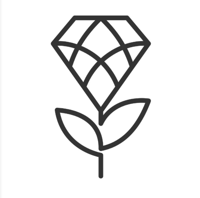 Mẫu áo lớp in hình logo kim cương bông hoa ấn tượng